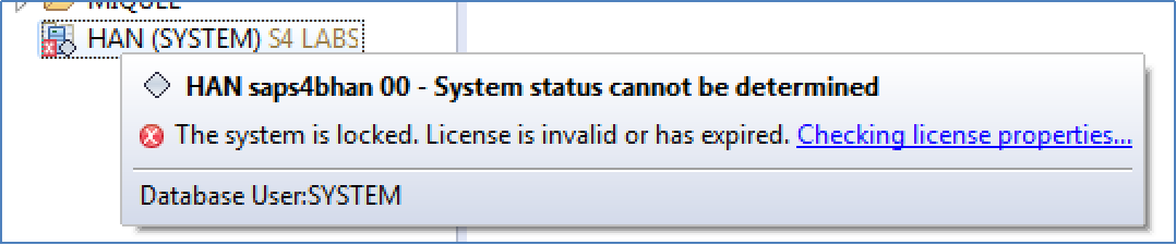 Access to Tenant (SAP) DB