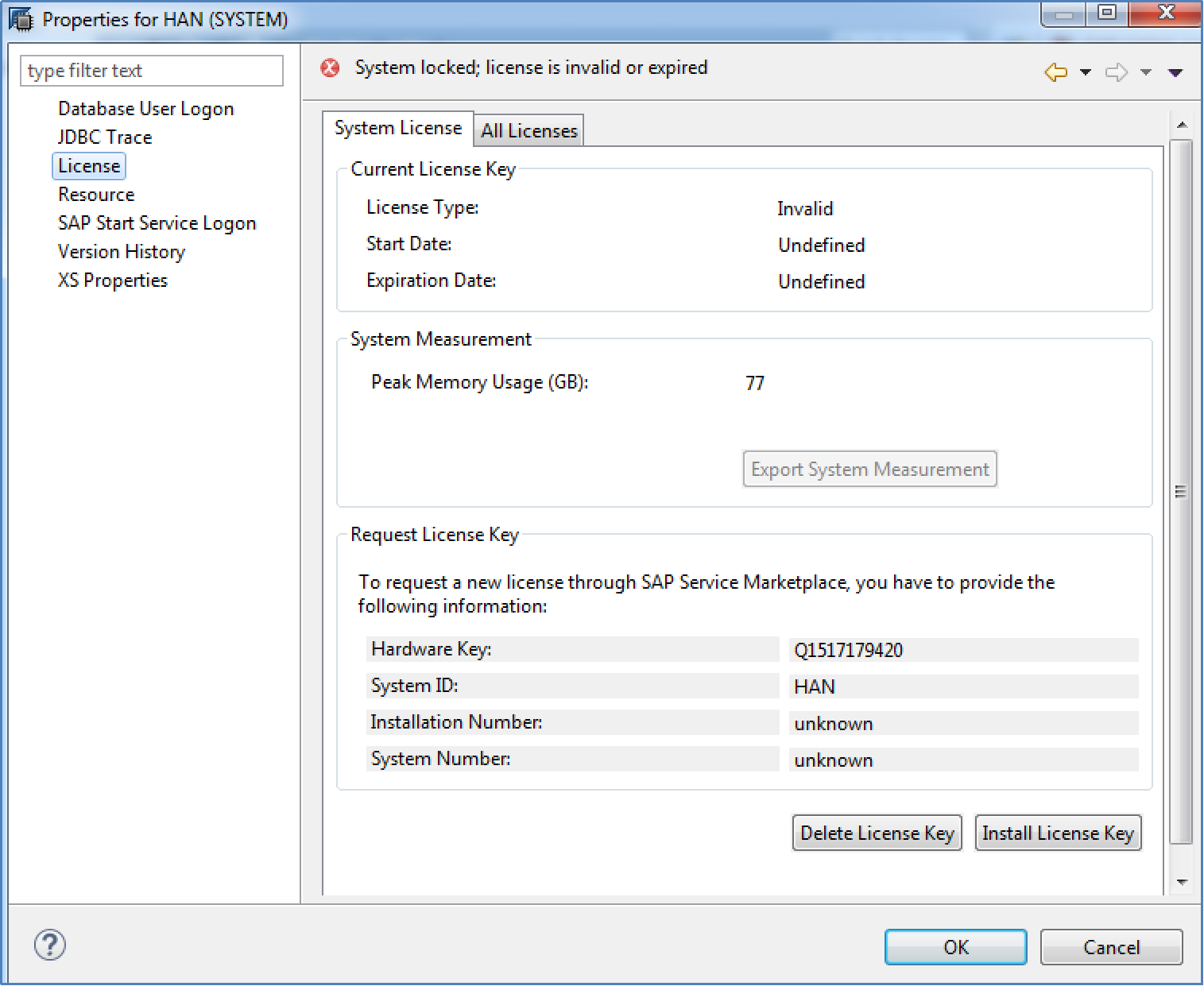 Access to Tenant (SAP) DB