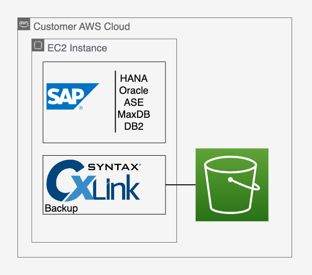 CxLink Backup Technical Detailed Diagram